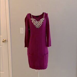 Express Sweater Dress